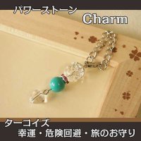 パワーストーン チャーム （マグネサイトターコイズ）　危険から守り幸福をもたらす＆自己実現/レディース