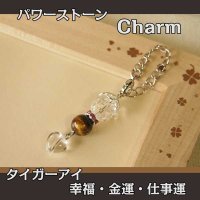 パワーストーン チャーム （タイガーアイ）　幸福・仕事運・金運・成功運/レディース