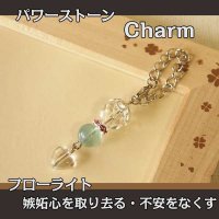 パワーストーン チャーム　（フローライト）　記憶力・思考力を高める・受験のお守りに/レディース