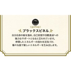 画像9: 【鑑定ブレス】琥珀・ブラックスピネル・ラピスラズリのブレスレット　幸運・厄除け・金運 (9)