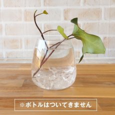 画像3: WISH ボトル用天然石 本水晶さざれ タイガーアイ さざれ (3)