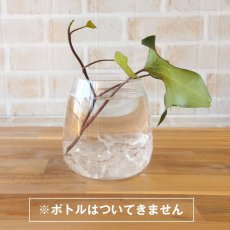 画像3: 【選べる】浄化用天然石 本水晶さざれ タイガーアイ さざれ (3)