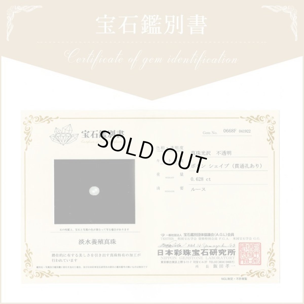 画像13: 送料無料 淡水パール ネックレス 一粒 (13)