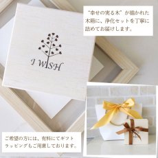 画像11: 【アメジストクラスターつき】パワーストーン 浄化セット アメジスト 6点セット 蓋付き (11)