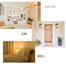 画像8: ヒマラヤ産水晶ポイントとさざれ水晶のセット　／　パワーストーン 浄化セット 水晶 ポイント  開運 置物 玄関 盛り塩代わりに使える 交換不要  (8)