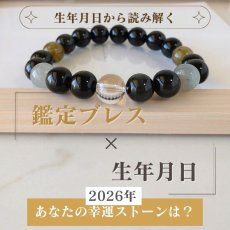 画像2: パワーストーン ブレスレット 天然石 2026年開運 厄除け 生年月日 レオン メンズ (2)
