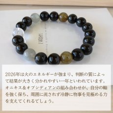 画像7: パワーストーン ブレスレット 天然石 2026年開運 厄除け 生年月日 レオン メンズ (7)