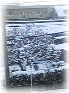 雪ε3。゚ε3。゚゚。゚。